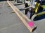 QUEEN EBONY / TUBI - 110mm x 105mm x 2.3m - TS8085 Carousel 1