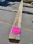QUEEN EBONY / TUBI - 110mm x 105mm x 2.3m - TS8085 Carousel 2
