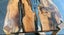 MACROCARPA - ROUGH SAWN - 100 x 50mm - 12.4m - TS7987 Carousel 6