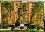 MACROCARPA - ROUGH SAWN - 100 x 50mm - 12.4m - TS7987 Carousel 10