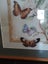 Lovely embroidered butterflies picture Carousel 2