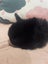 6 Mini Lop Bunnies Carousel 3