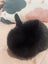 6 Mini Lop Bunnies Carousel 4