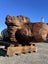 800kg Ancient Kauri Burl Log – Natural Art / Collector’s Showpiece Carousel 7