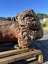 800kg Ancient Kauri Burl Log – Natural Art / Collector’s Showpiece Carousel 12