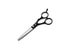 6.0 Inch Stainless Steel Barber Hair Cutting Thinning Scissor Shears Carousel 1