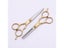 6.0 Inch Stainless Steel Barber Hair Cutting Thinning Scissor Shears Carousel 3