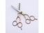 6.0 Inch Stainless Steel Barber Hair Cutting Thinning Scissor Shears Carousel 5