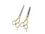 6.0 Inch Stainless Steel Barber Hair Cutting Thinning Scissor Shears Carousel 6
