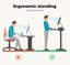 Levede Motorised Standing Desk Height Adjustable Electric Sit Stand Table 140cm Carousel 2