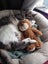 LOST CAT - BUCKLANDS BEACH, AUCKLAND Carousel 3