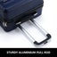 2PCS Luggage Suitcase Trolley Set Travel Bag Carousel 10