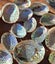 50 x Miniature Beautiful Paua and Abalone Shells Carousel 3