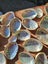 60 x Miniature Beautiful Paua and Abalone Shells Carousel 2