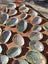 60 x Miniature Beautiful Paua and Abalone Shells Carousel 3