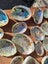 25 x Small Beautiful Paua and Abalone Shells Carousel 3