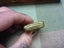 Awesome Old Vintage Gramophone Needles Tin Songster Loud Tone Needles Carousel 4