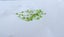 JEWELLERS ESTATE MUSEUM 45 x NATURAL PERIDOT MINED IN TANZANIA & BRAZIL Carousel 1