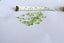 JEWELLERS ESTATE MUSEUM 45 x NATURAL PERIDOT MINED IN TANZANIA & BRAZIL Carousel 2