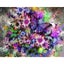 Diamond Painting Art Kit Carousel 12
