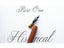 Handmade Solid Wood Copperplate Script Oblique Dip Pen Nib Holder Best Gift Carousel 4