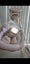 Ingenuity Baby Swing – Twinkle Tails Grey (Near New, RRP $329!) Carousel 1