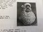 Kids Knitting Patterns Motif Designs Bulk! Over 60 Patterns.. Carousel 16