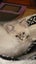 Ragdoll cat Carousel 4