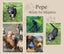 Cairn Terrier Cross Puppy Carousel 1
