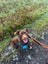 Mixed breed Lab, Kelpie Male Carousel 4