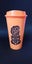Plastic Tumbler 16oz 475 ml Carousel 4
