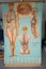 Denoyer-Geppert Anatomy Series Set KL1 - KL14 - Individual Posters Carousel 4