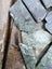 Nelson Region Stone Slices Carousel 4