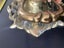 Vintage lion head door knocker, 22cm x 24cm tall Carousel 5