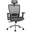 *** Loctek Ergonomic Chair $1 Res *** Carousel 1