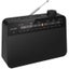 TAR2509 Portable AM/FM Radio Ac or Battery Powered Carousel 1