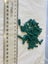 50 K'NEX Rigid rod 16mm green Carousel 1