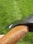 $1 reserve. vintage “WINCHESTER” stamped axe/ hatchet with original handle. Carousel 10