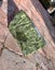 Pounamu Carousel 1