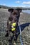 Black Opal - Chance 4 Change Carousel 4