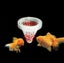 Aquarium Red Worm Feeder Cone Feeder White Carousel 1