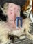 Extracted Foreign Object (piece of bark) Carousel 3