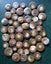 Polished Moroccan Goniatite (Approx. 380 MYO). Bulk quantity x 50! Carousel 1