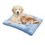 Double-Sided Pet Bed Mat Sensory Pet Mat Pet Nest Pad Blue 53*40cm Carousel 1