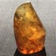 3 DAY AUCTION: 7.3cm NZ Kauri Gum Display Piece, $1 Reserve Carousel 7