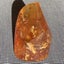 3 DAY AUCTION: 7.3cm NZ Kauri Gum Display Piece, $1 Reserve Carousel 10