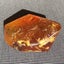 3 DAY AUCTION: 7.3cm NZ Kauri Gum Display Piece, $1 Reserve Carousel 11