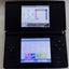 Nintendo DS lite Carousel 1