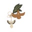 Loading Image 2 of 4