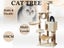 Cat Tree House - (NZ Clearance) Carousel 2
